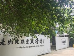 -芭厘农庄老字号·清远鸡