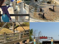 -珠海海泉湾神秘岛亲子乐园