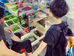 -万商花鸟市场