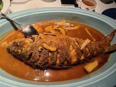 -阿五黄河大鲤鱼(英协路店)