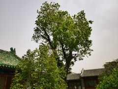 -恭王府博物馆