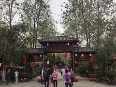 -合肥滨湖国家森林公园