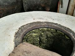 -溪口-滕头旅游景区