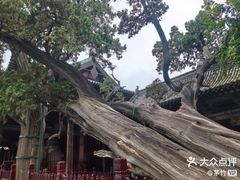 -晋祠公园