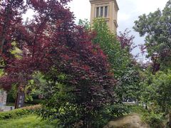 -上海浦东星河湾酒店