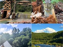 -五营红松林海景区