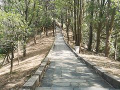 -田心森林公园