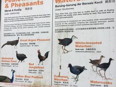 -吉隆坡雀鸟公园