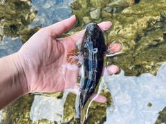 -溪口-滕头旅游景区