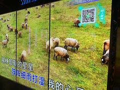 -温莎KTV(国贸店)