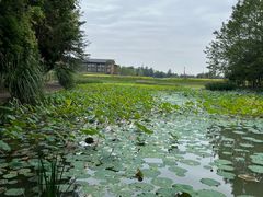 -中国天府农业博览园