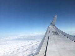 -厦门高崎国际机场-T3航站楼