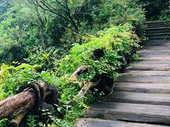-龙山酒店温泉