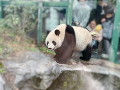 -红山森林动物园