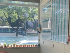 -美联众合动物医院·24h京西诊疗中心