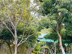-小蜜蜂团建自助烧烤场(小洲村店)