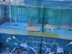 -振华超市(新华西道店)