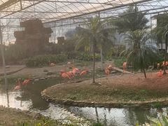 -无锡动物园·太湖欢乐园