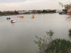 -上海长兴岛郊野公园