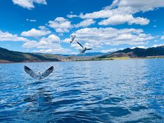 -丽江泸沽湖景区