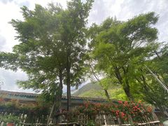 -叠溪松坪沟景区