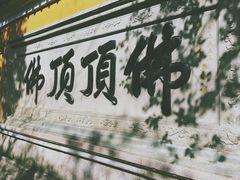 -普陀山风景区-佛顶山