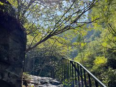 -云岫谷游猎自然风景区