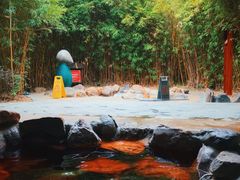 -森波拉火山温泉