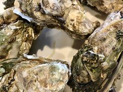 -崖口红树林海鲜餐厅