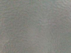 -牛知府云南菌汤鲜牛肉火锅(肖家湾店)