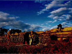 -邢老三肉丸糊辣汤·非遗美食(凤城六路店)