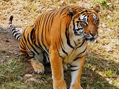 -济南野生动物世界