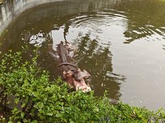 -济南野生动物世界