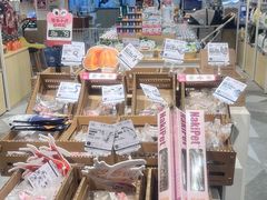 -宠小格时尚宠物生活馆(唐镇店)