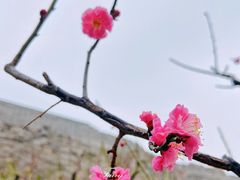 -北京明城墙遗址公园