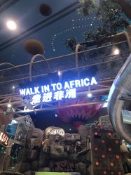 -卡通尼·Safari非洲探索乐园·生日会(金桥国际商业广场店)