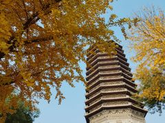 -玲珑塔公园