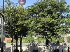 -黄浦江游览(十六铺码头)