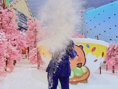 -广州热雪奇迹