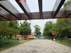 -长田漾湿地公园
