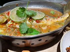 -佬肥猫(七宝宝龙店)