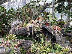 -国家植物园南园
