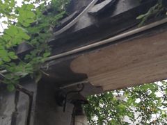 -金山嘴渔村