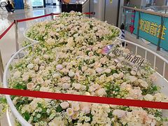 -蘭亭·新都汇