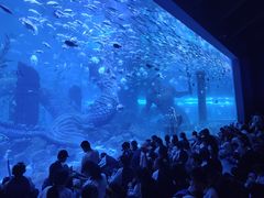 -哈尔滨波塞冬海底世界