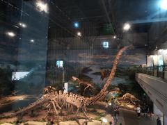 -自贡恐龙博物馆