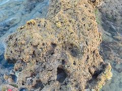 -三亚西岛海洋文化旅游区