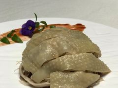 手撕鸡-蝶园·装修中(BFC外滩金融中心店)