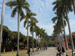 -厦门大学(思明校区)