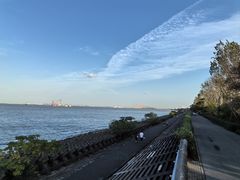 -上海滨江森林公园